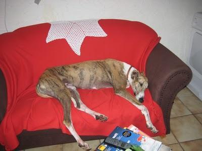 DEL INFIERNO AL CIELO...