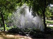 Ejemplo grados libertad