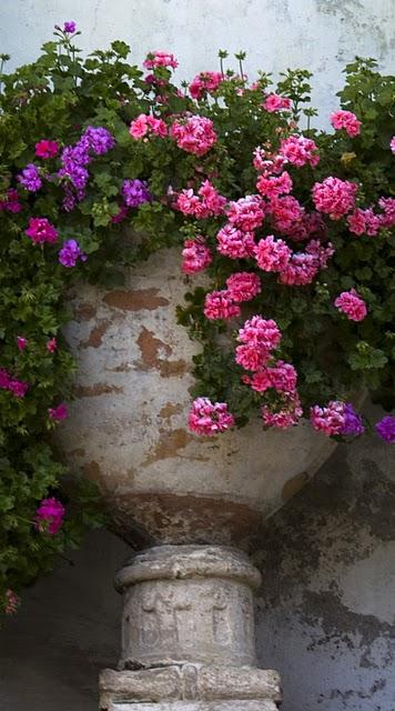 APRENDE A RECIBIR, AGRADECE CADA DON