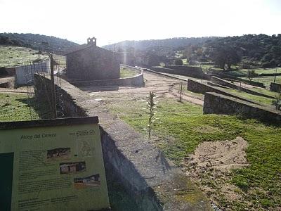 4 días por la Sierra de Andújar, entre Linces ibéricos, Buitres negros y Águilas imperiales...