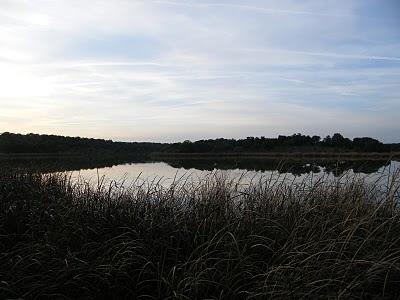 4 días por la Sierra de Andújar, entre Linces ibéricos, Buitres negros y Águilas imperiales...