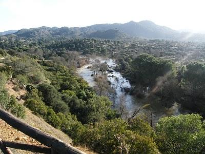 4 días por la Sierra de Andújar, entre Linces ibéricos, Buitres negros y Águilas imperiales...