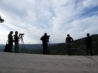 4 días por la Sierra de Andújar, entre Linces ibéricos, Buitres negros y Águilas imperiales...