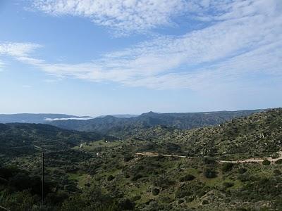 4 días por la Sierra de Andújar, entre Linces ibéricos, Buitres negros y Águilas imperiales...