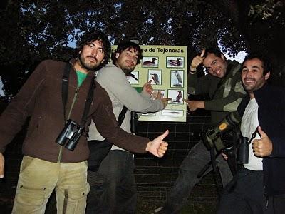 4 días por la Sierra de Andújar, entre Linces ibéricos, Buitres negros y Águilas imperiales...