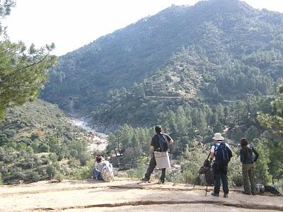 4 días por la Sierra de Andújar, entre Linces ibéricos, Buitres negros y Águilas imperiales...