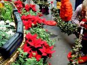 Anota teléfono brazo hijo