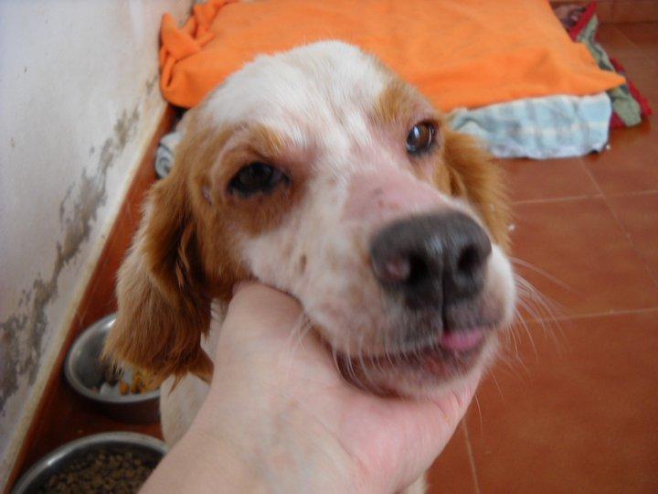 Mer sigue sin familia :(