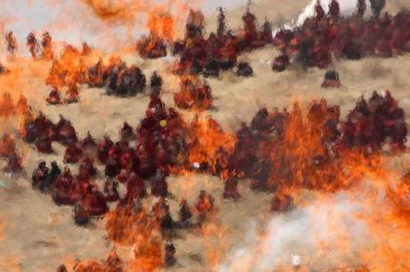 The Big Pictures 2010