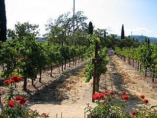 De vinos por California