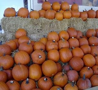 Halloween, época de calabazas