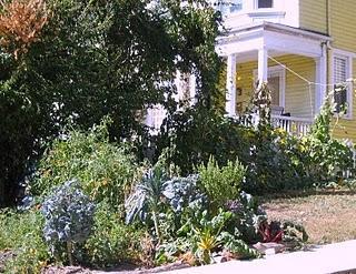 Huertas urbanas: la semilla entre el asfalto