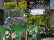 Conclusiones sobre Brunei