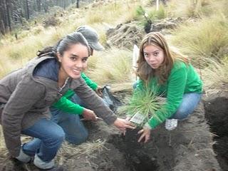 Ricoh Mexicana participa en el programa de reforestación que lleva a cabo Volkswagen en el Parque Izta Popo