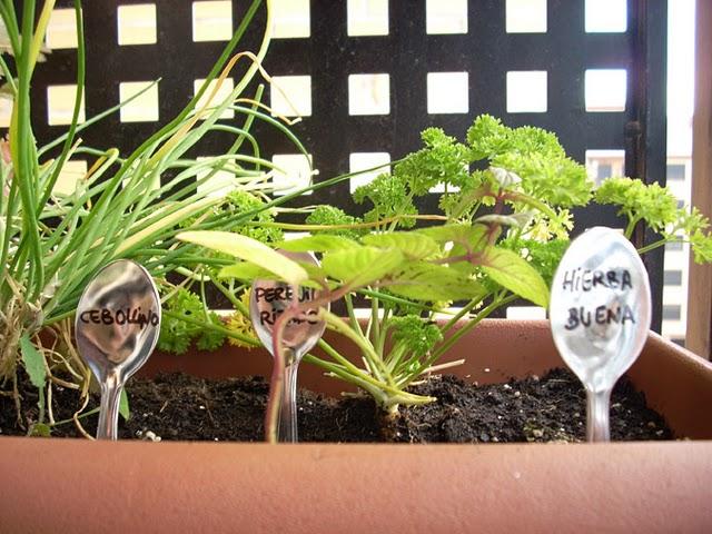 El huerto de hierbas aromáticas vitamina d*