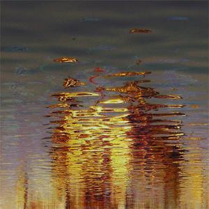 D'Eon : Palinopsia (Hippos in Tanks,2010)