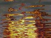 D'Eon Palinopsia (Hippos Tanks,2010)