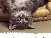 Nuevos descubrimientos