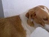 Lluvia, atada puerta refugio (Córdoba)