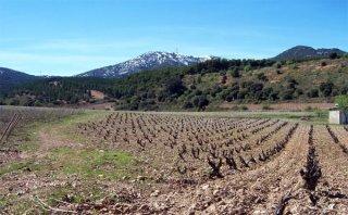 Quinta Mazuela: Magnificent