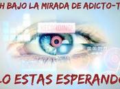 Gala audiencia cruel"