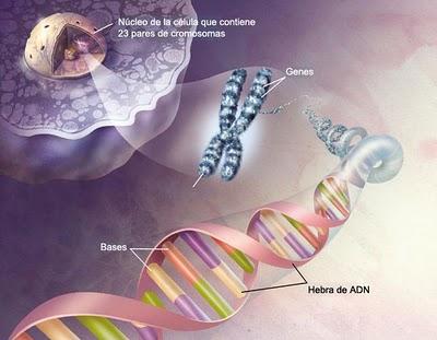 Los 10 avances científicos más destacados del 2010 según 