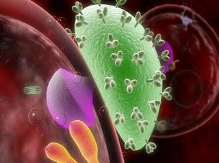 Los 10 avances científicos más destacados del 2010 según 