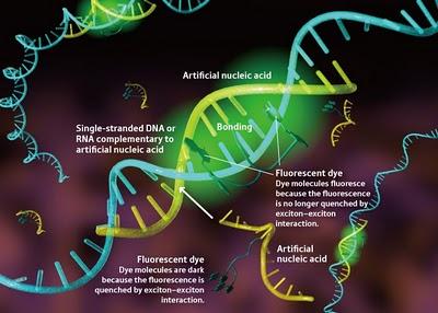 Los 10 avances científicos más destacados del 2010 según 