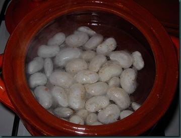 judiones con verdura (2)