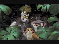 Cinecritica: Madagascar