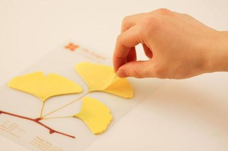 Leaf-it_Ginkgo 02