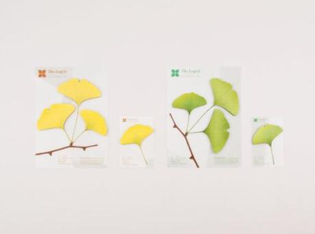 Leaf-it_Ginkgo 01