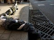 Hace frío...¡abriguemos calles!