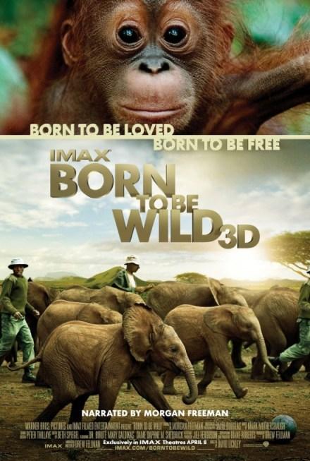 Born to be Wild 3D