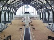 Carsten Höller llena Hamburger Bahnhof soma