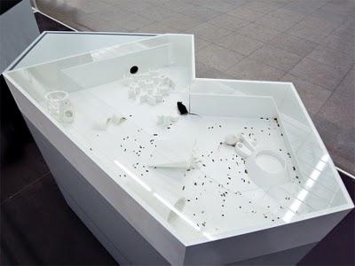 Carsten Höller llena el Hamburger Bahnhof de soma