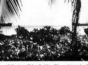 Alemania libera prisioneros mientras Estados Unidos vende armas bandidos ingleses 21/12/1940.