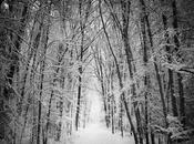 Solsticio Invierno