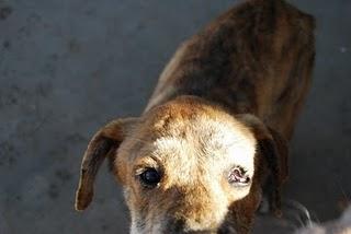 ¡¡¡JUSTICIA PARA ELLOS!!!!