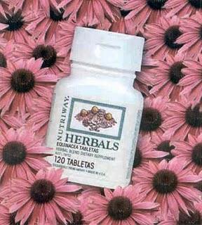 Decepción para los fervorosos de la equinácea en los resfriados