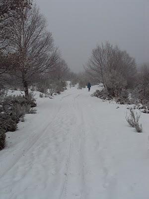 Serra de Ancares: Tres Bispos