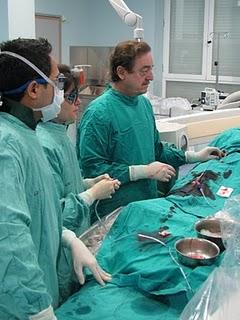 Primer paciente coronario tratado en España con el innovador Dispositivo Vascular Biorreabsorbible (BVS) de Abbott