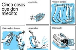 Y “Miau”, también en El Mundo