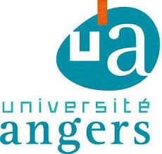 Programa Investigación Enjeux, Universidad de Angers, Francia , solicita difusión de cuestionario genealógico
