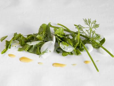 Ensalada de rabanitos con sus hojas, eneldo y cebollino Ensalada de rabanitos con sus hojas, eneldo y cebollino