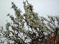 Nostalgia de San Valentín Nostalgia de San Valentín