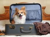 sitios donde conseguir Casas Rurales admiten perros España