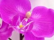 Reiki