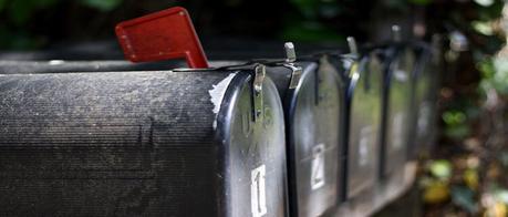 Cómo captar suscriptores como un profesional