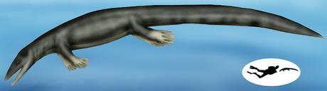 Fauna prehistórica descubierta en México